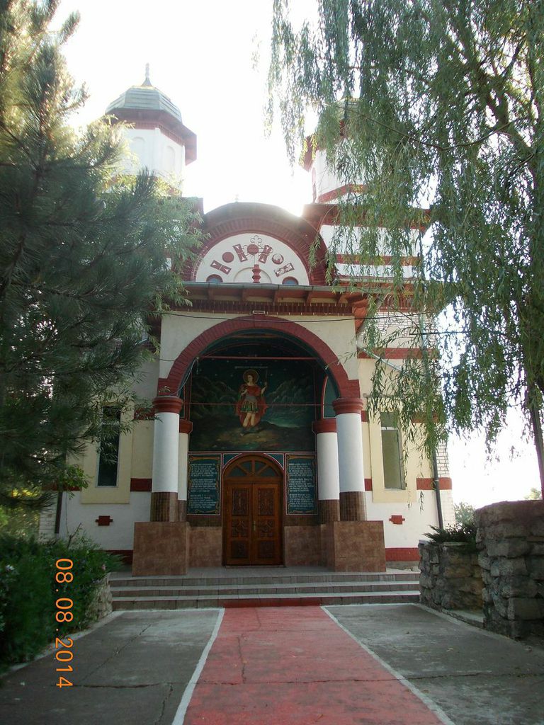 Mănăstirea Radu Negru