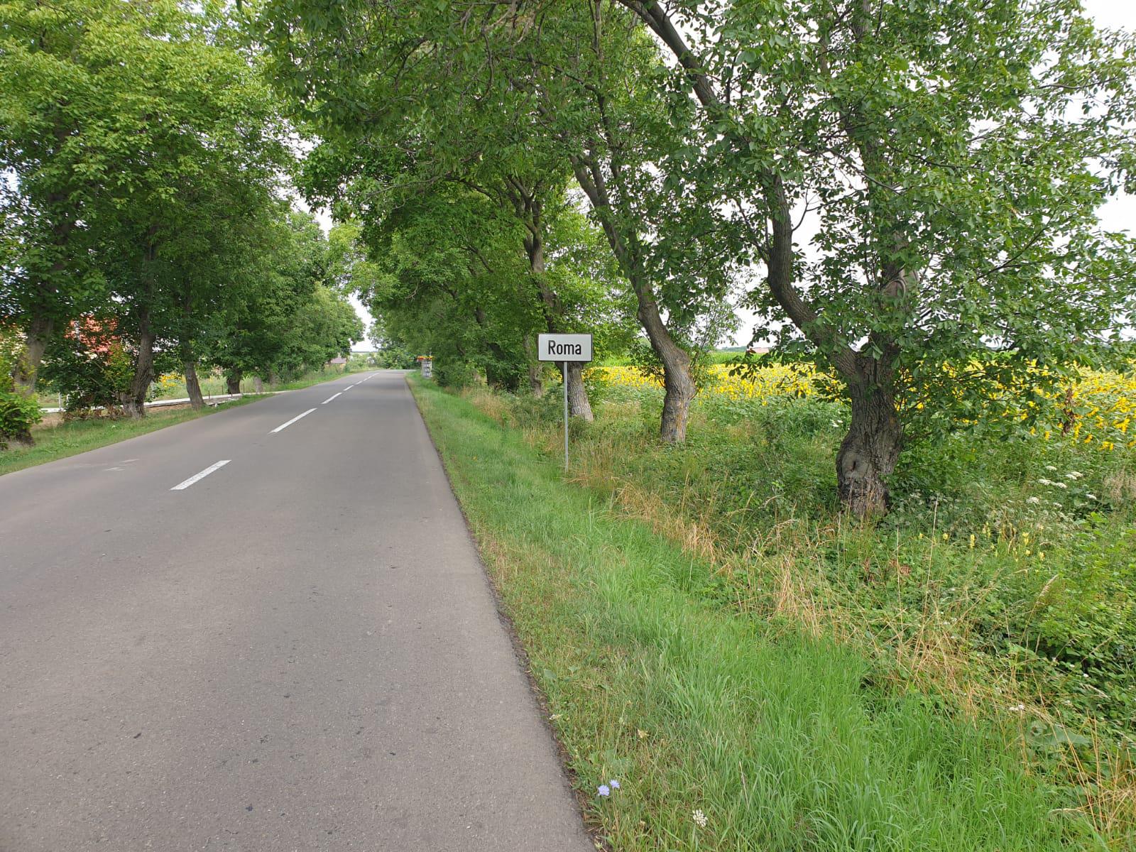roma1.jpg