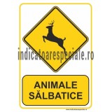 u4hwq_animale-salbatice.jpg
