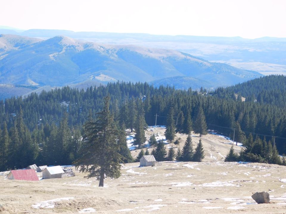 Vedere de pe Vlădeasa