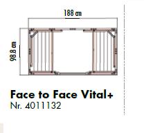 wv57n_face-to-facei (sectiune).JPG