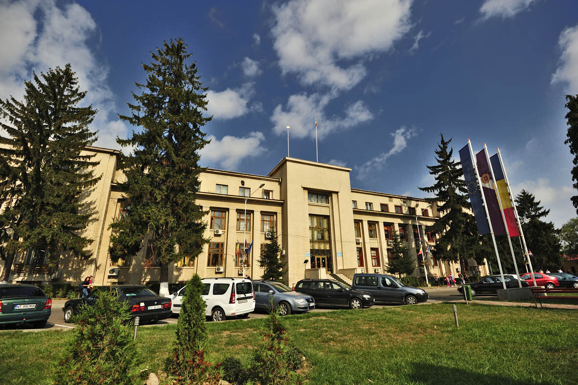 y6h36_Primaria Roman.jpg