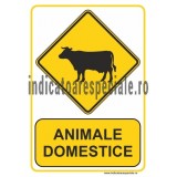 z57d1_animale-domestice.jpg