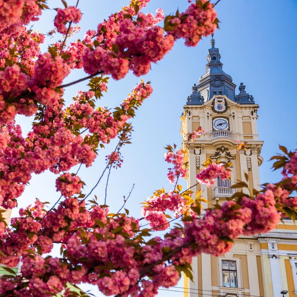 Începând de luni, 26 septembrie 2022, vor fi demarate lucrările de modernizare pe strada Hermann Oberth