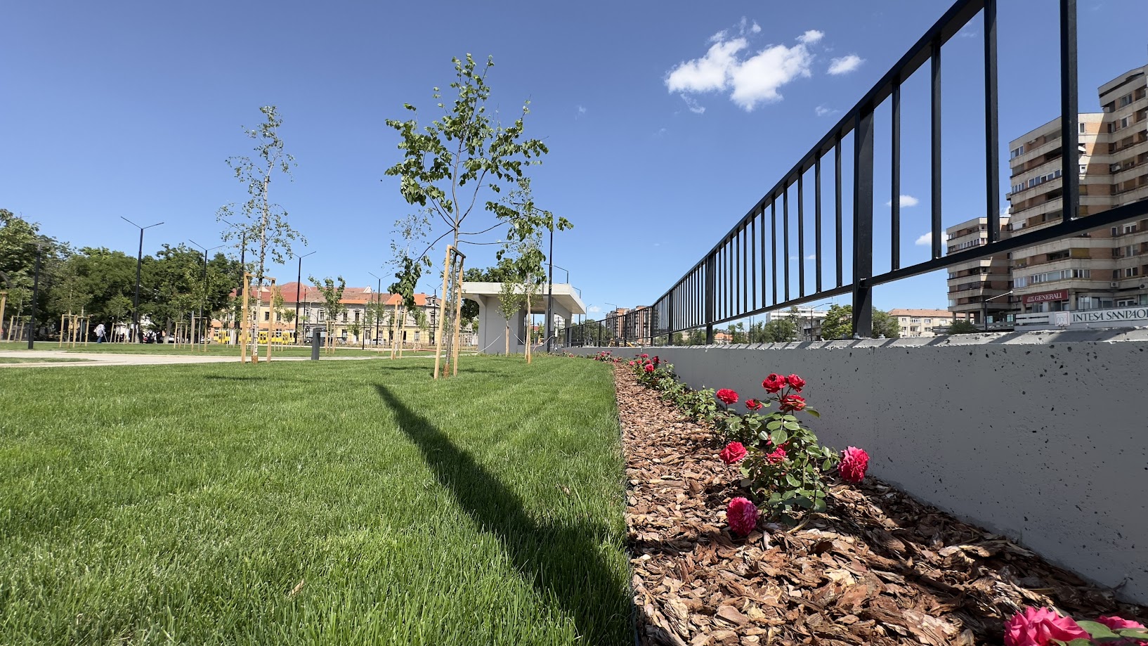 Piațeta pietonală din zona pasajelor din Centrul Civic prinde culoare: 127 de arbori, 520 de plante perene, 400 de trandafiri