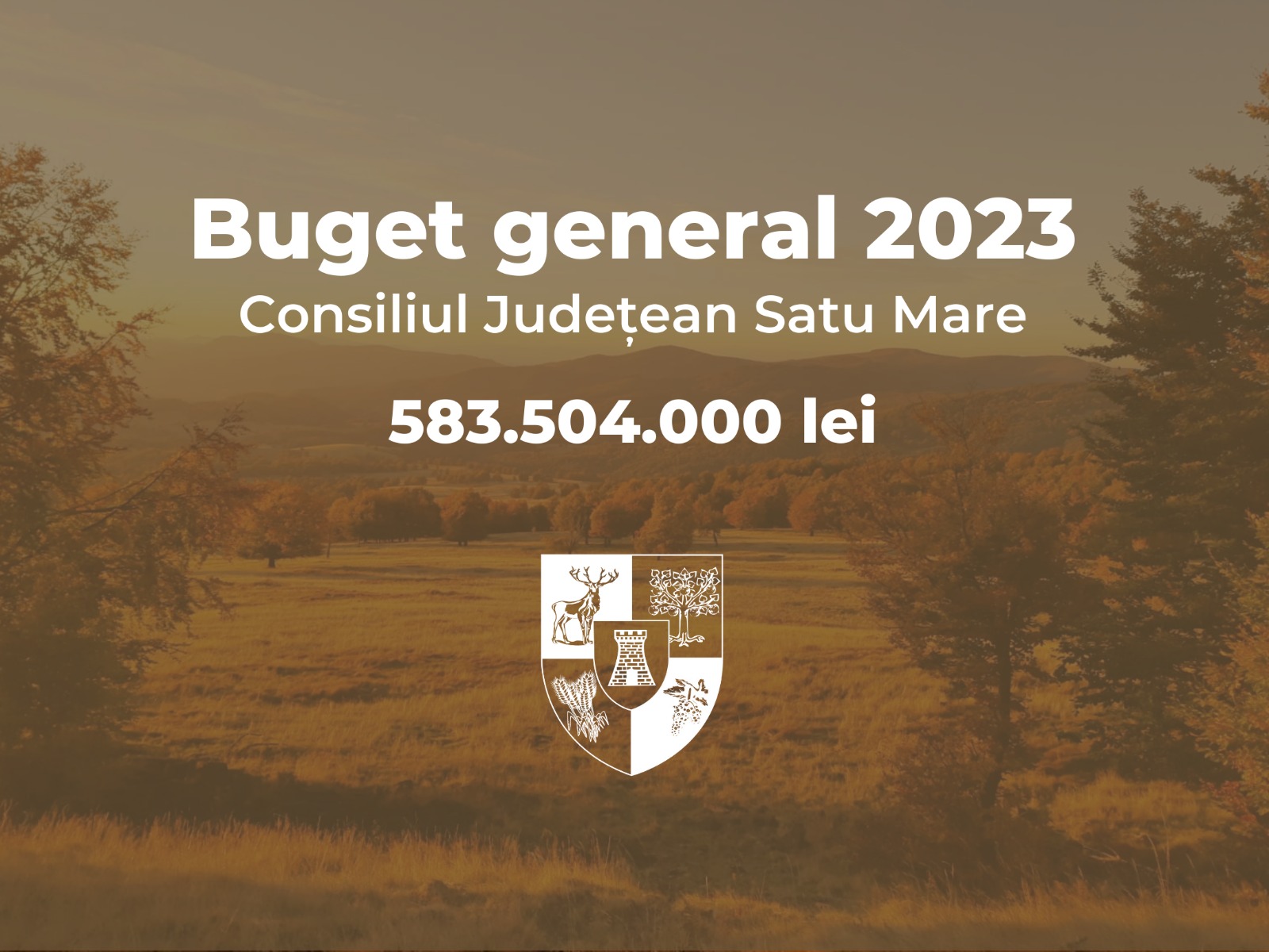 Bugetul Consiliului Județean Satu Mare pentru anul 20