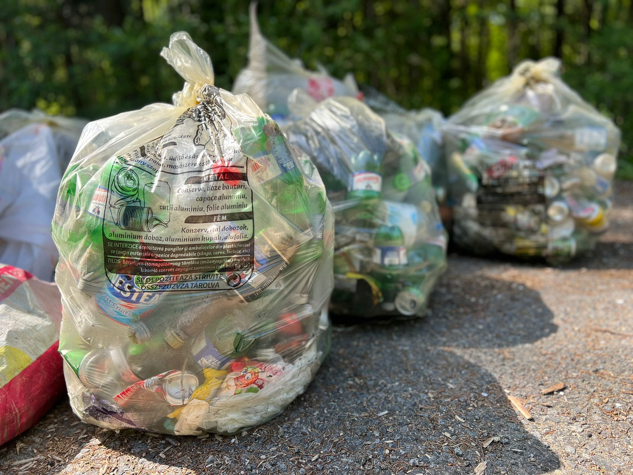 Angajații Consiliului Județean Bihor, la o acțiune de igienizare în ,,Luna curățeniei”