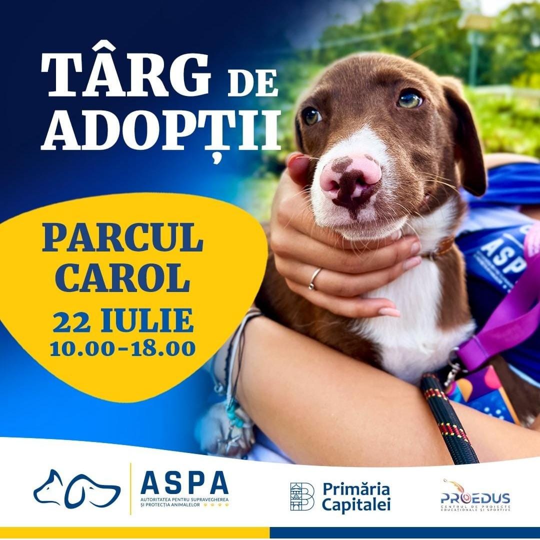 Târg de adopții pentru căței – 22 iulie, Parcul Carol I