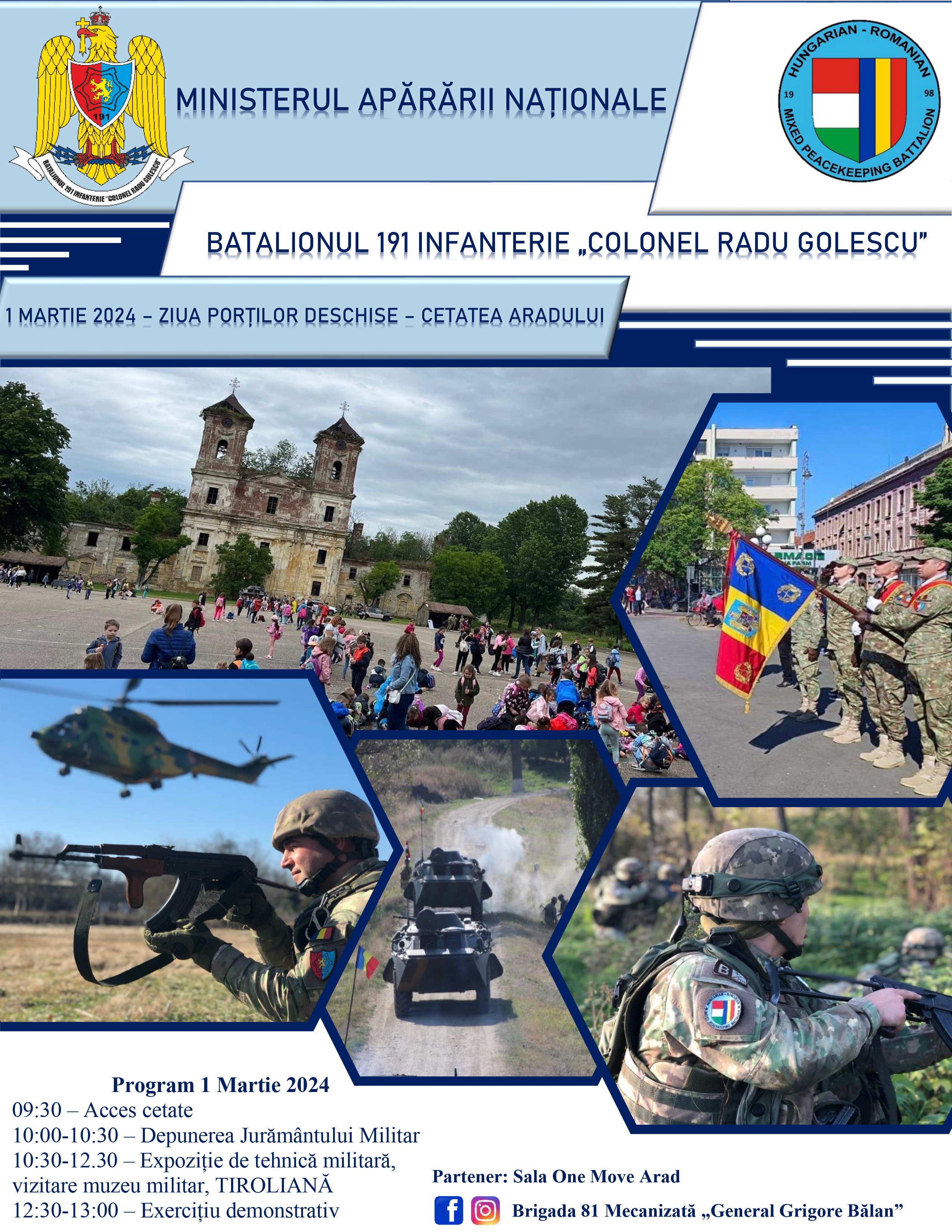 Consiliul Județean intervine pentru salvarea Cetății Șoimoș