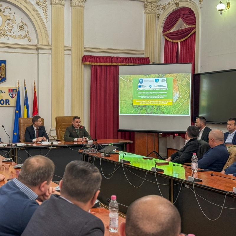 Posibilități de finanțare pentru împădurirea Bihorului