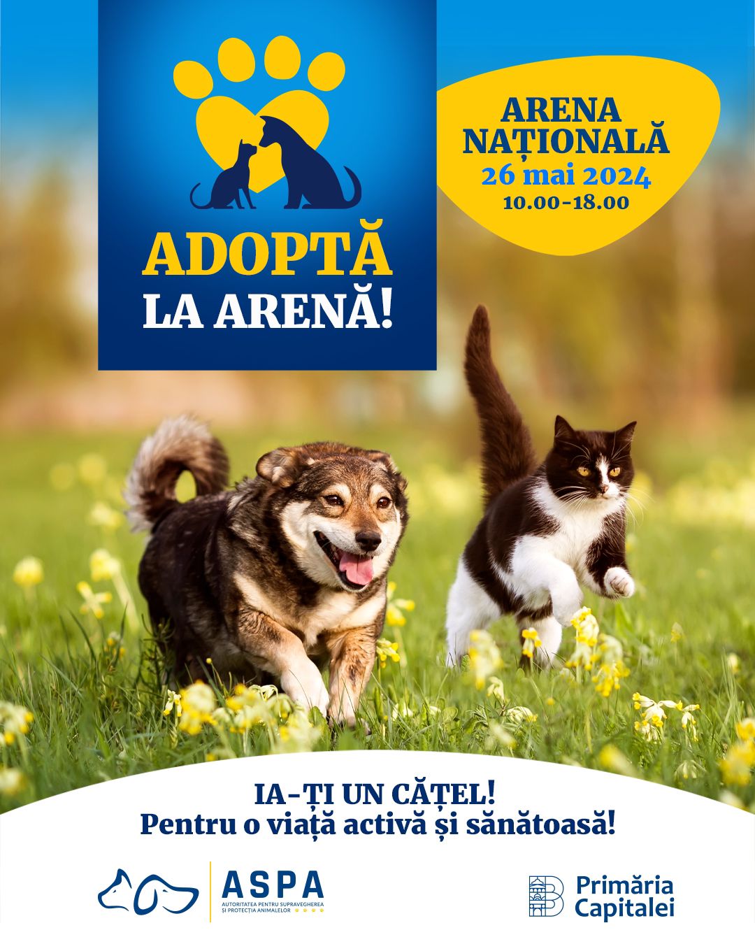 ADOPTĂ LA ARENĂ 2024  Un eveniment pentru întreaga familie