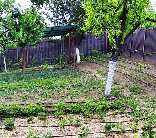 Termenele până la care se declară datele pentru înscrierea în  Registrul Agricol