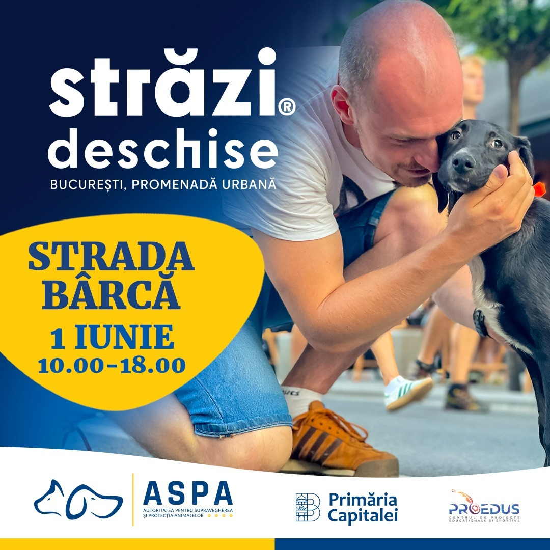 Un nou târg de adopții de căței – 1 Iunie, strada Bârcă din sectorul 5