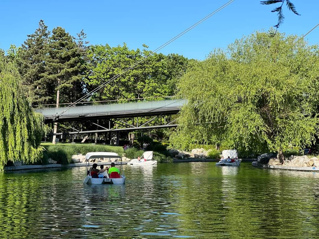 Cinema pe lacul din Parcul Drumul Taberei. Vino să vezi filme din barcă sau  hidrobicicletă!