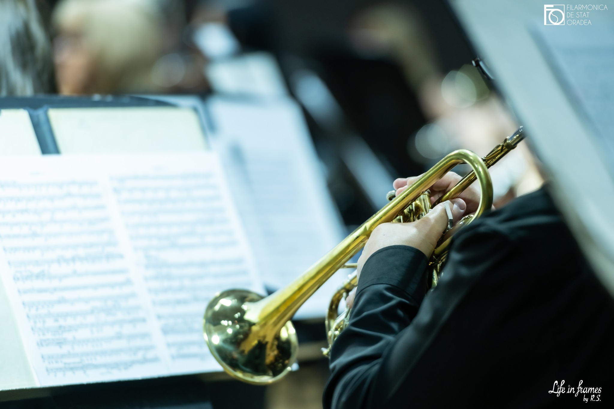 Proiecte culturale transfrontaliere România - Ungaria, cu fonduri europene