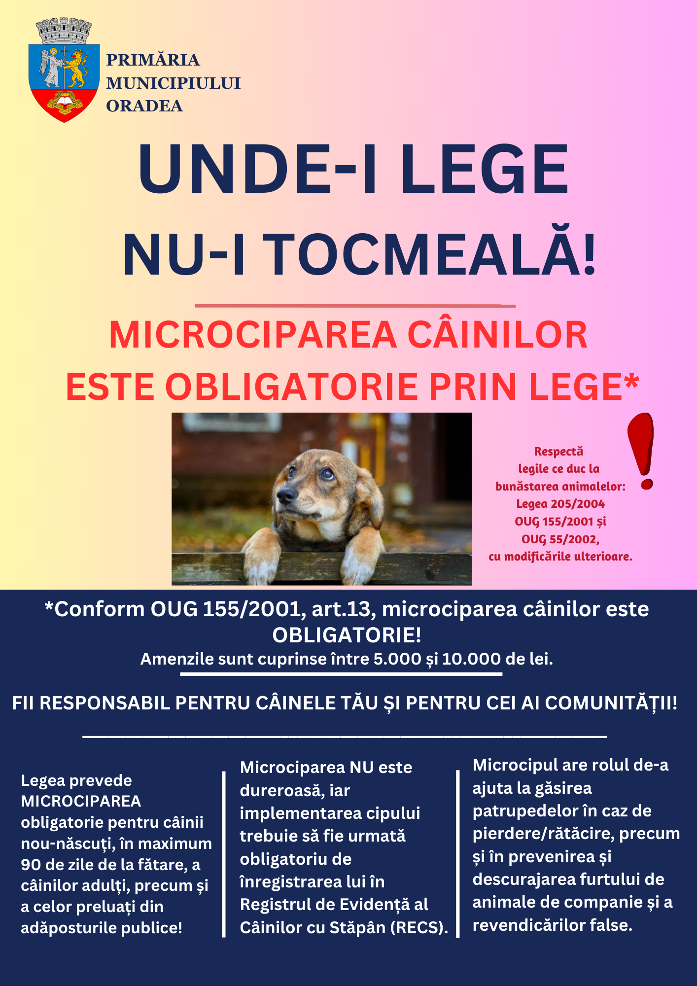 Încă poți să-ți microcipezi câinele gratuit! Amenzile pentru patrupedele fără microcip ajung până la 10 mii de lei