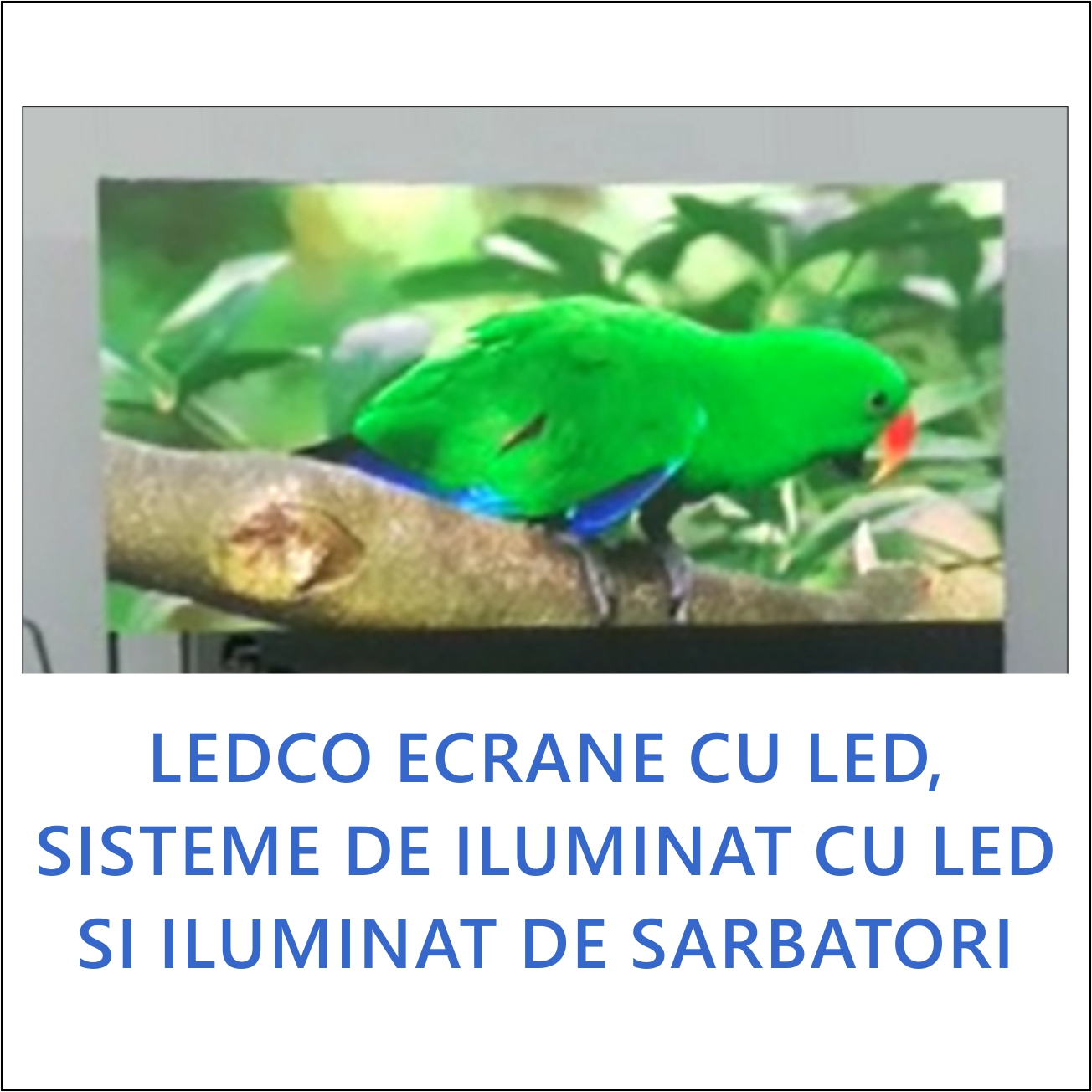 LEDCO - Producator ecrane cu led, sisteme de iluminat cu led si iluminat de sarbatori