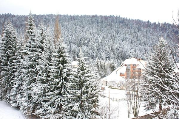 Revelion 2022 la Durau - Hotel Bradul 3*