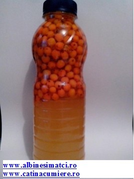 Miere cu catina la PET alimentar de unica folosinta de 1400 Grame  Pret vechi: 72 RON Reducere 17%  Pret nou: 60 RON