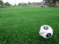 Promotie gazon sintetic!