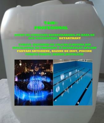 PRODUS PROFESIONAL DETARTRANT PENTRU INSTALATII FANTANI ARTEZIENE, BAZINE DE INOT ETC