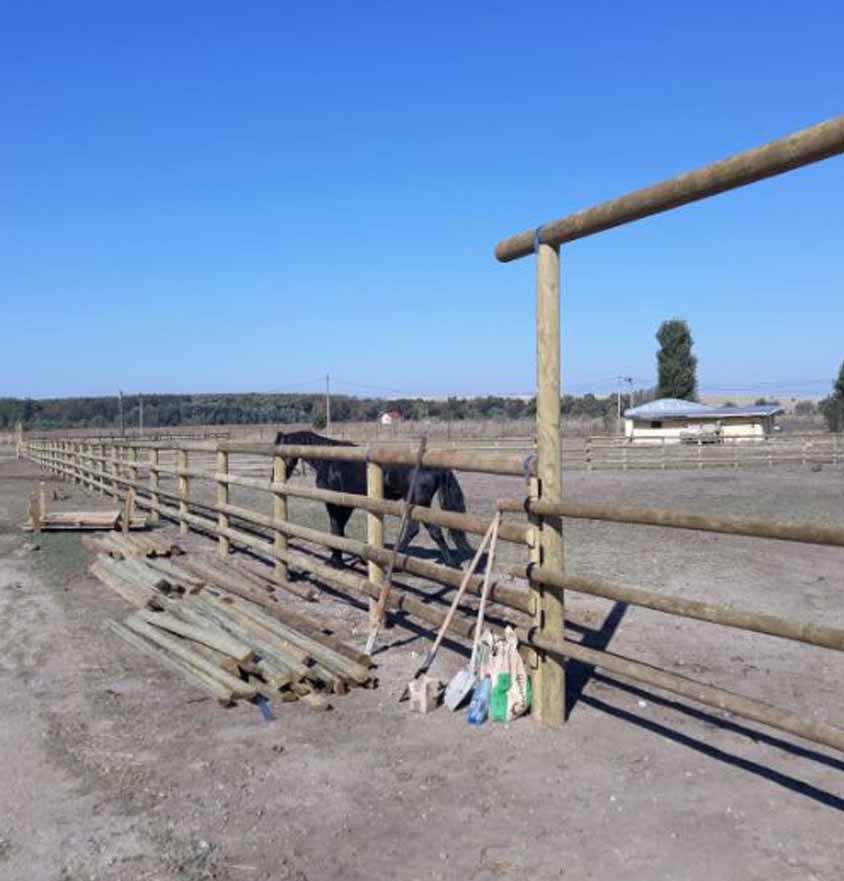 Manejuri și obstacole de călărit