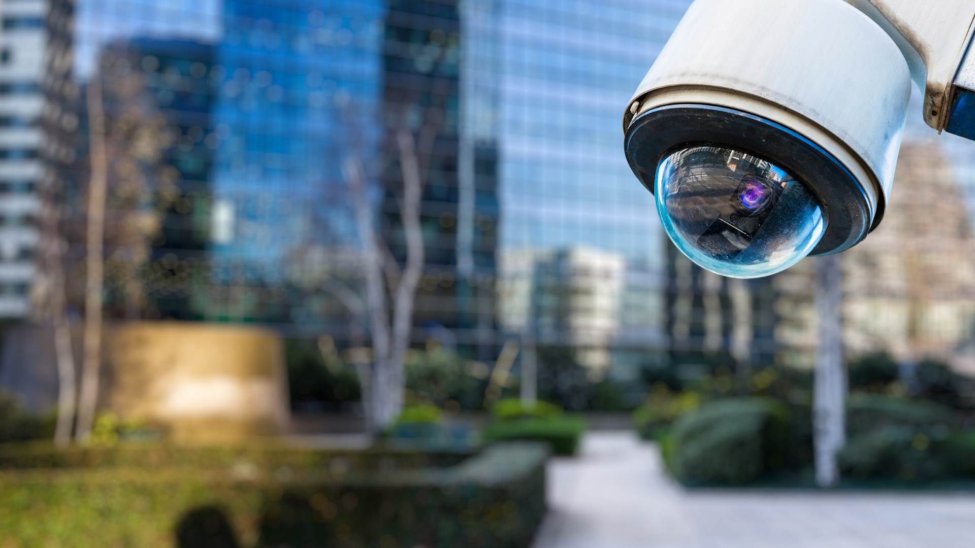 Camere video| Siguranta publica