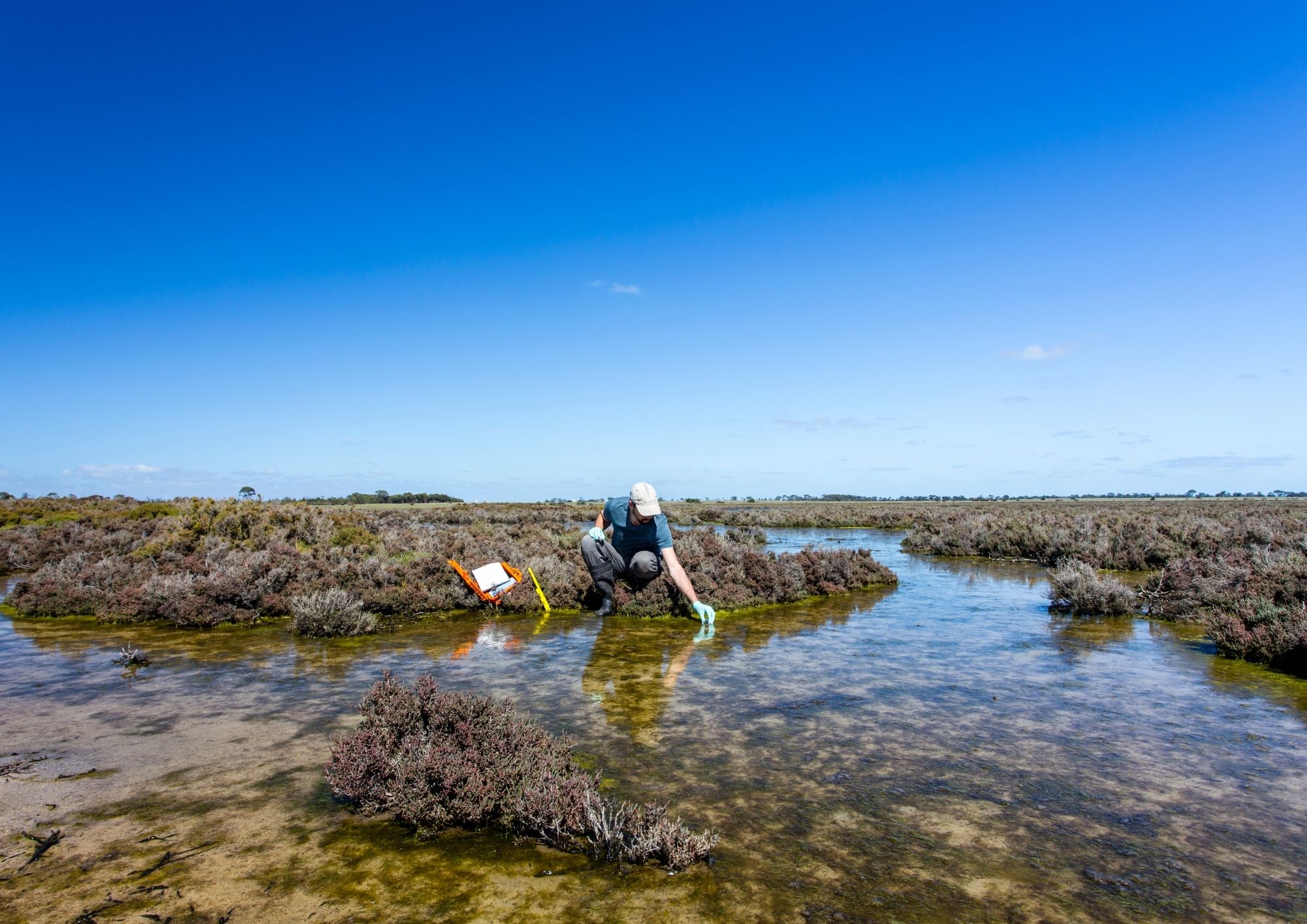 CONSULTANTA DE MEDIU