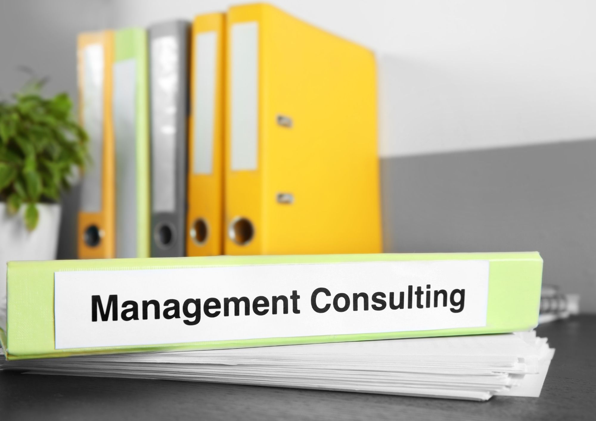 CONSULTANŢĂ ÎN MANAGEMENT