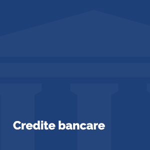 Consultanță în obținerea de credite bancare