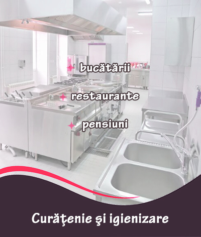 Curățenie și igienizare bucătării, restaurante și pensiuni