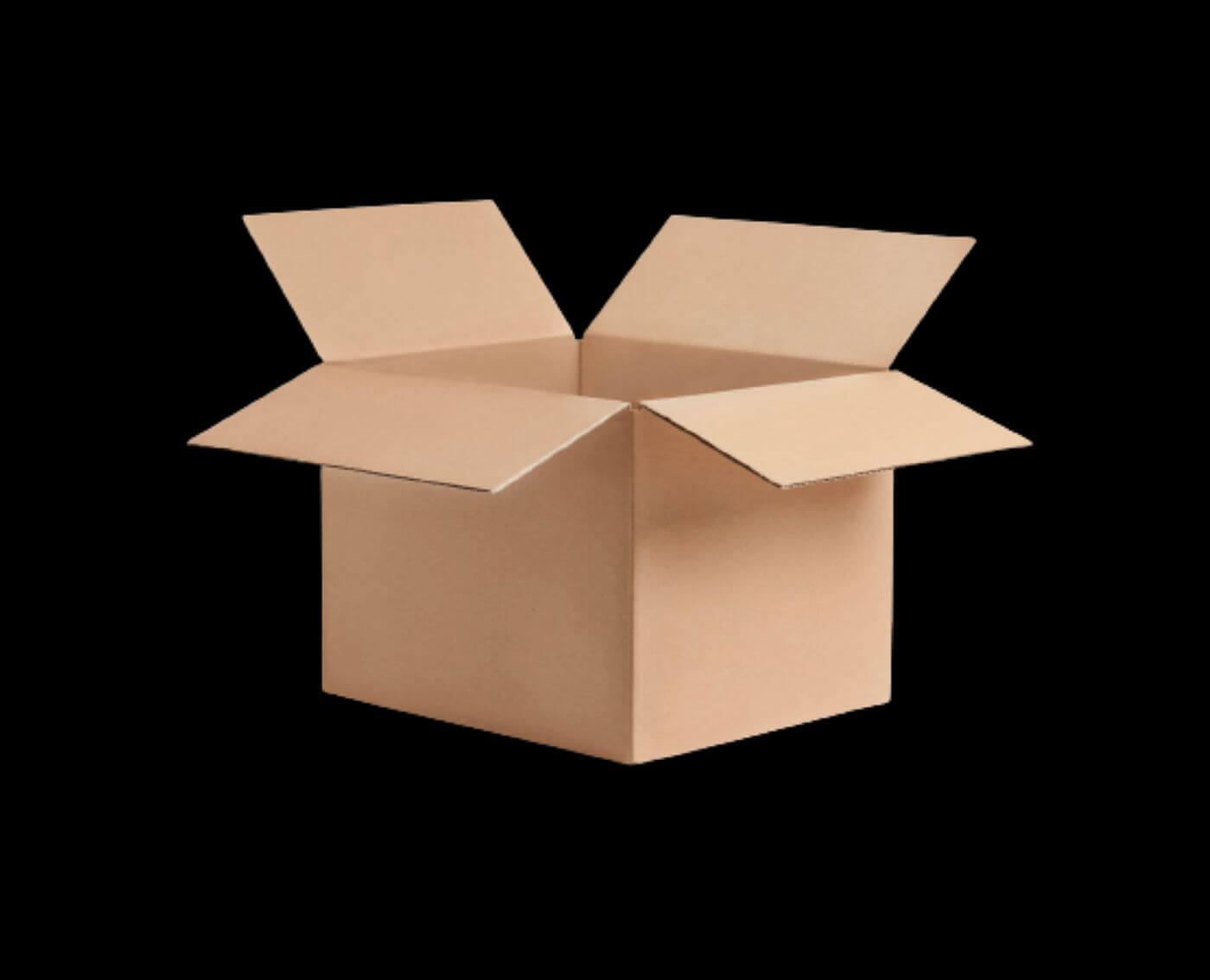 Cutii /lădițe de carton