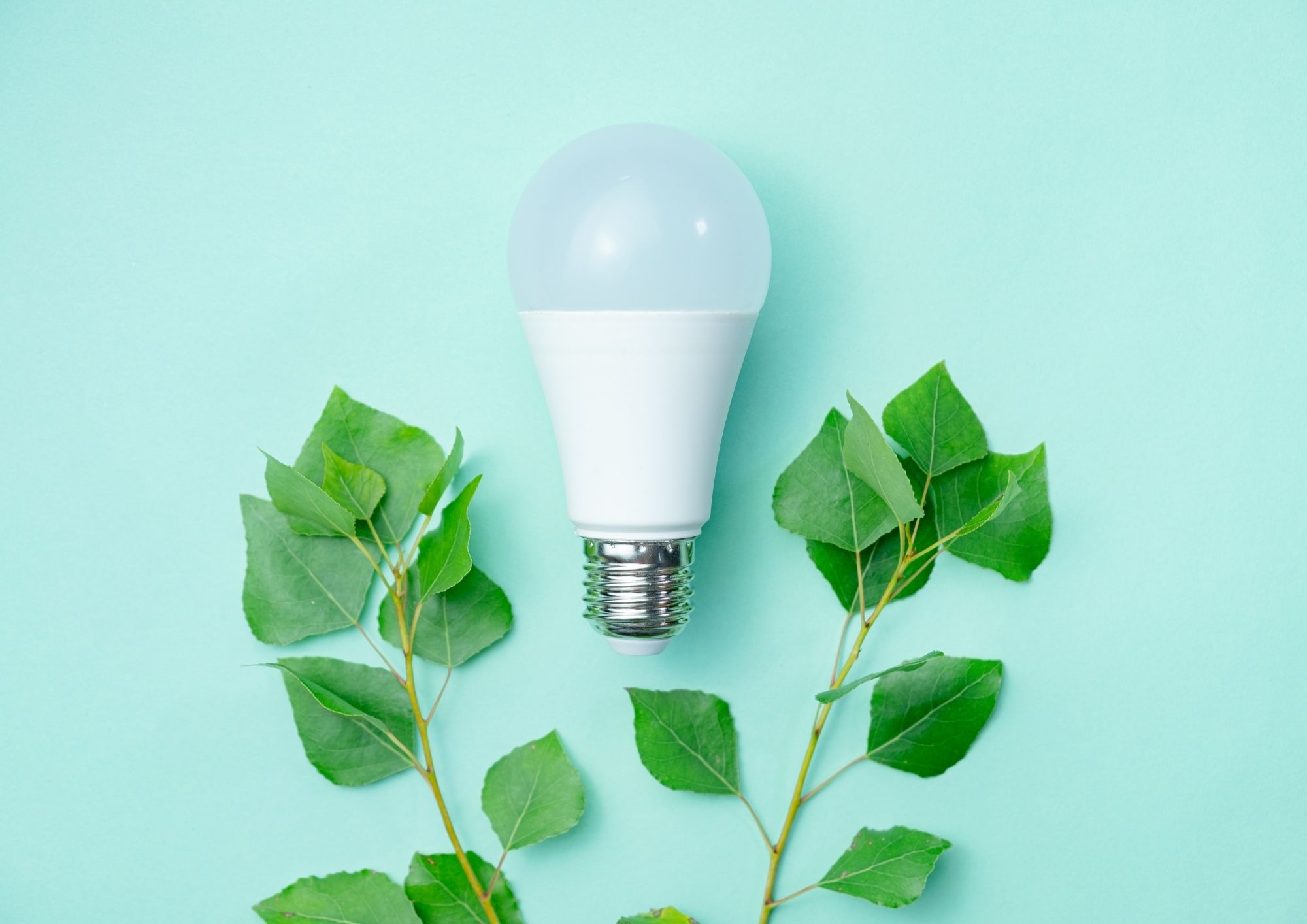 ECONOMIA ŞI LEGISLAŢIA MEDIULUI