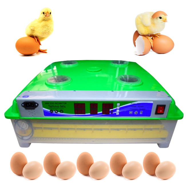 INCUBATOARE AUTOMATE