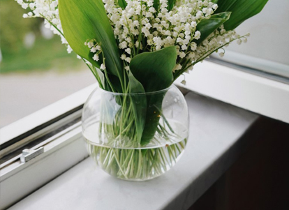 Pervaze interioare-exterioare