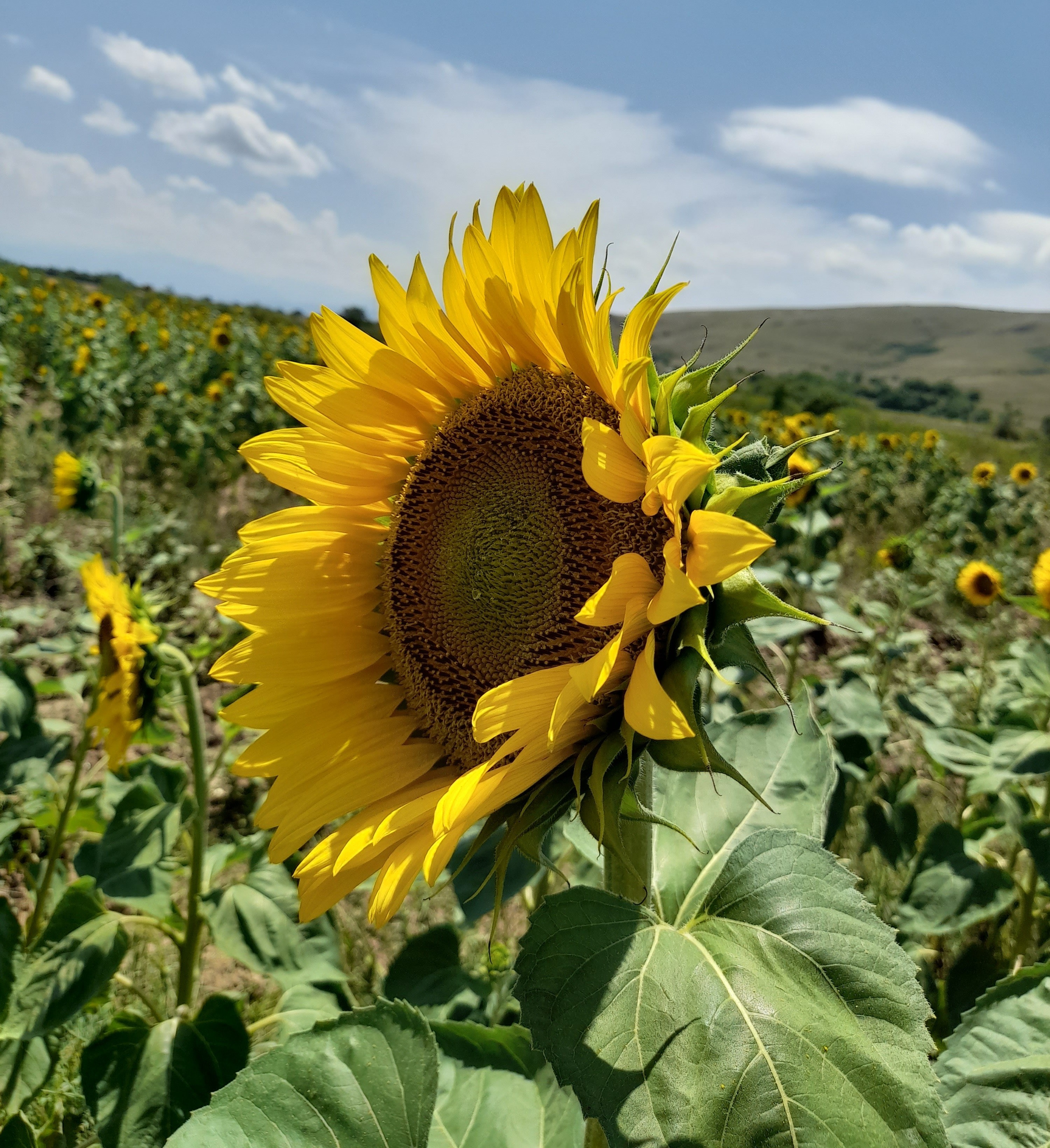 CURSURI PENTRU FUNCȚIONARI PUBLICI - LITORAL, MUNTE, BĂI TERMALE, DELTA DUNĂRII