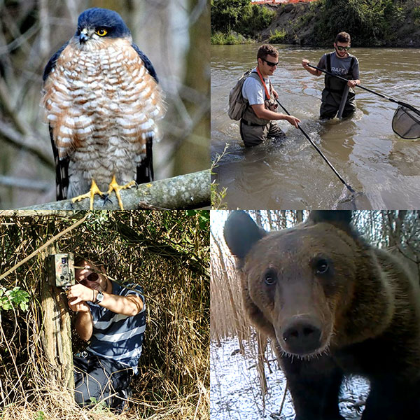 STUDII PENTRU PROTECȚIA MEDIULUI