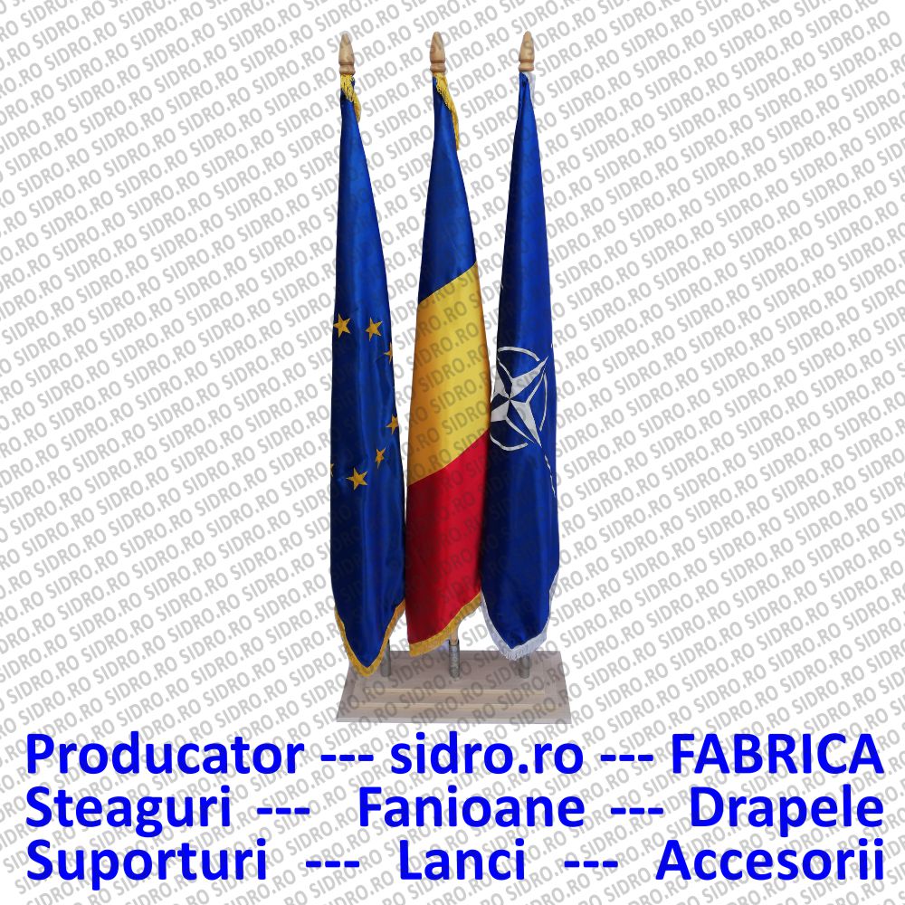 SET INTERIOR DRAPELE RO-UE-NATO PROTOCOL