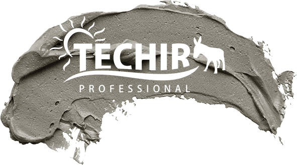 TECHIR PROFESIONAL