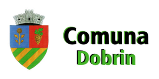 Primăria Dobrin