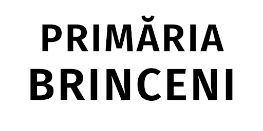 Primăria Brinceni